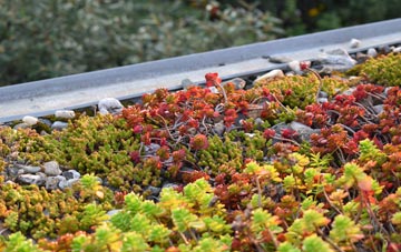 the cost of Speeton green roof installation