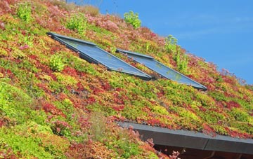 Speeton living roof systems