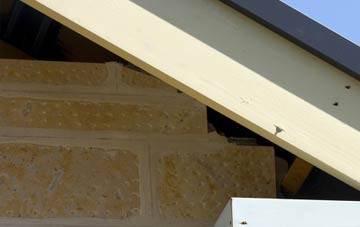 soffit repair Speeton